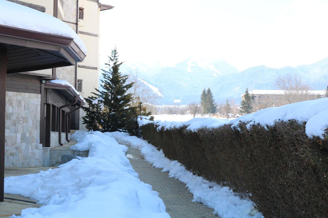 Private Apartments In Alpine Lodge Bansko Exterior photo